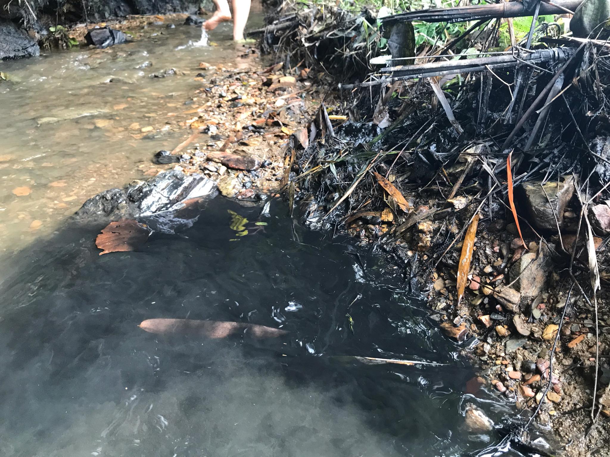 Bước đầu tìm ra “thủ phạm” khiến nước sinh hoạt ở Hà Nội có mùi lạ